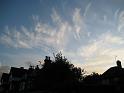 B_175116_IMG_0977