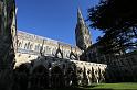 105252_IMG_4203